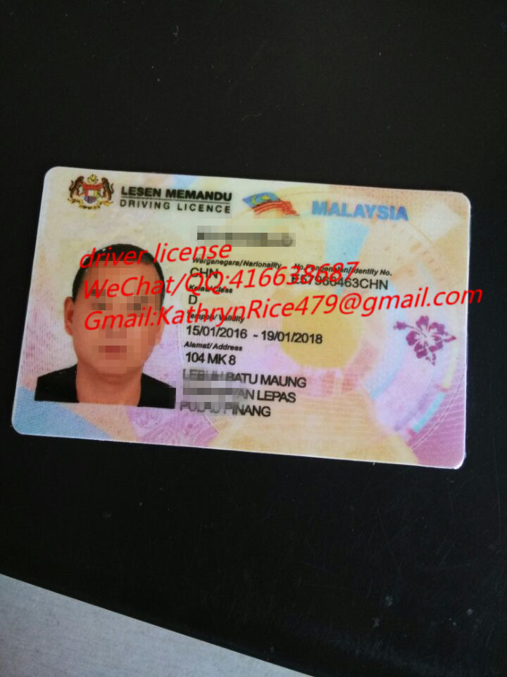 马来西亚驾照 Driver License
