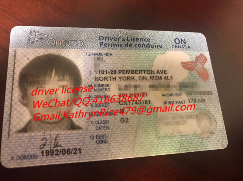 加拿大安省驾驶证 Canada Driver License