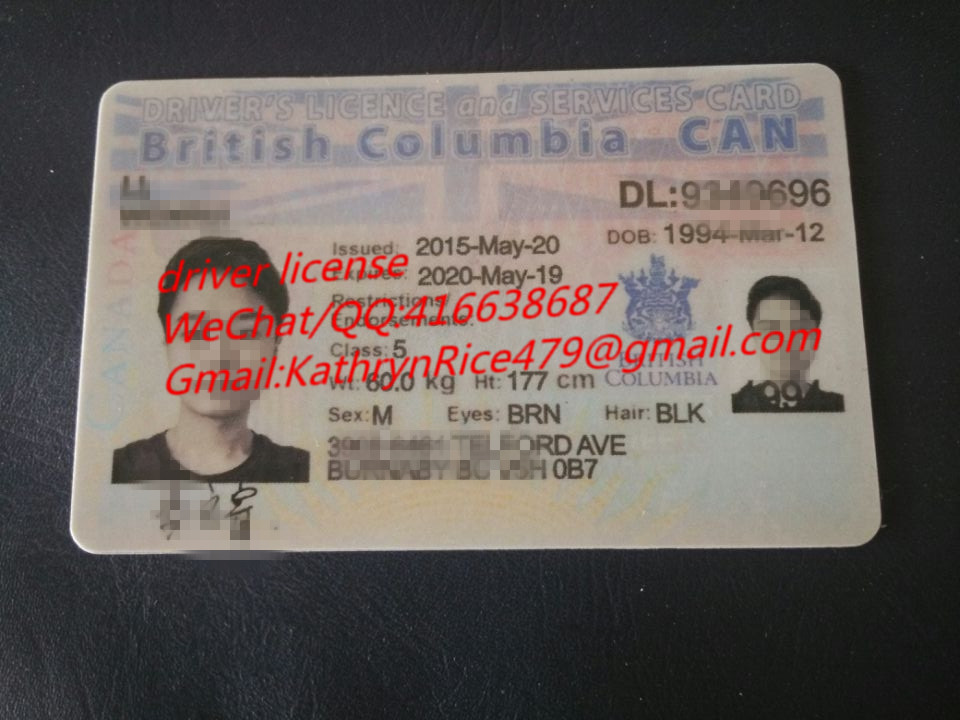 加拿大英属哥伦比亚驾照 Driver License