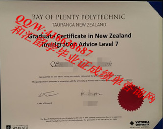 新西兰纳尔逊理工学院毕业证 Bay of Plenty Polytechnic diploma