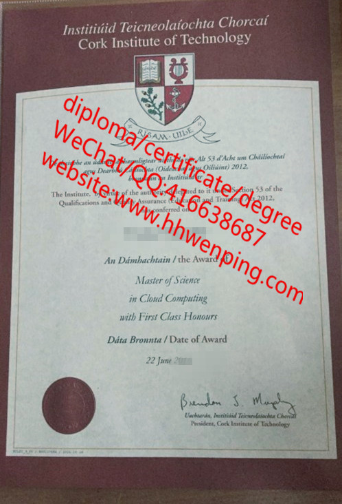 科克理工学院毕业证Cork Institute of Technology diploma