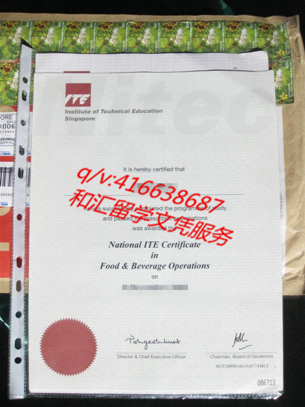 新加坡Nitec Diploma