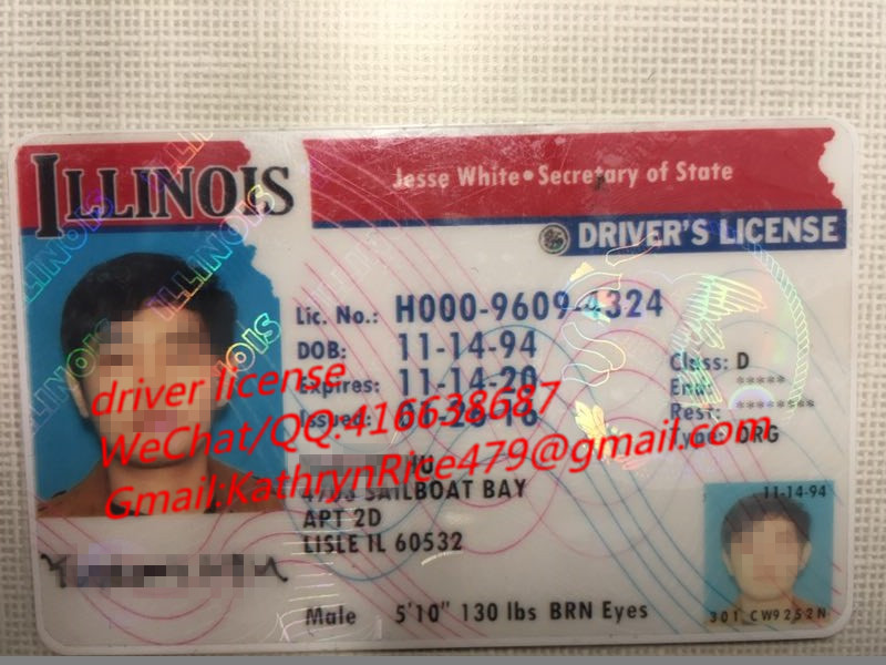 美国伊利诺伊州（Illinois）驾驶证 Driver License