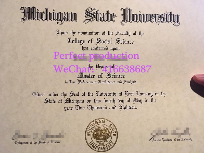 密歇根州立大学硕士学位Michigan State University master's degree